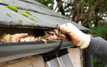 gutter cleaning Huntington
